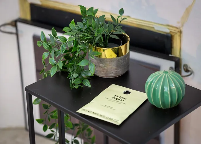 L'ecrin Normand Un Au Coeur De * Rouen